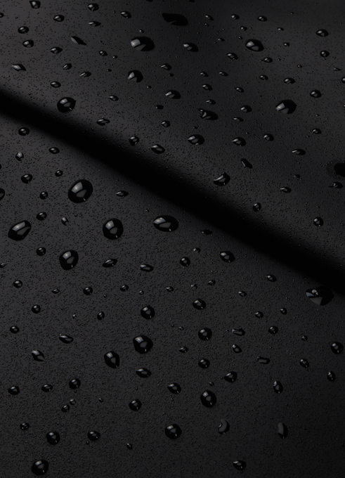 Lipault Lost In Berlin Rolltop Backpack 2.0  Black