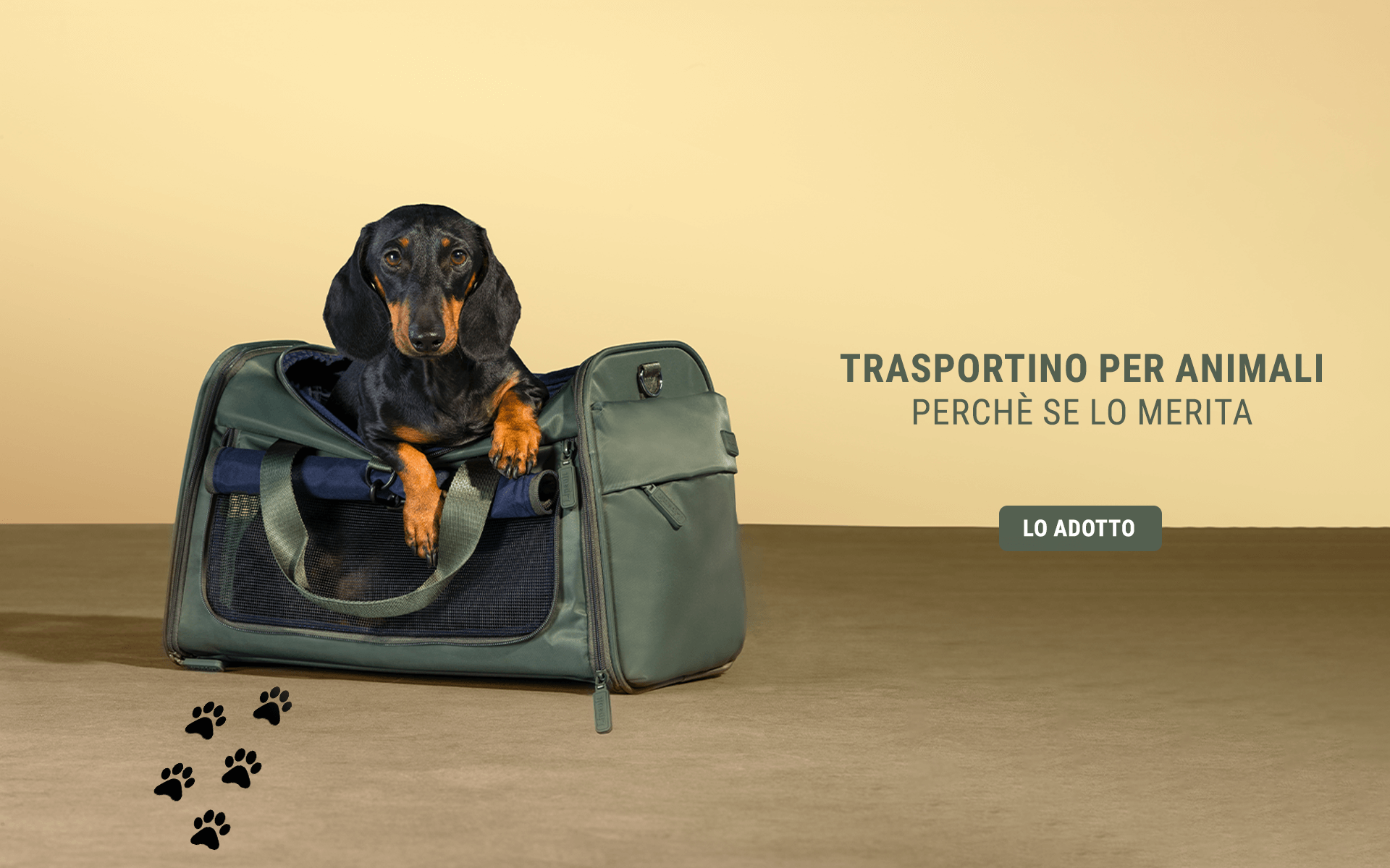 The pet bag | Lipault